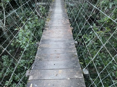 白石吊橋修復後狀況 （照片由林業保育署新竹分署提供）